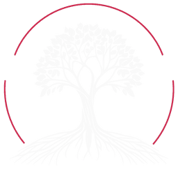 Knowledge Partner